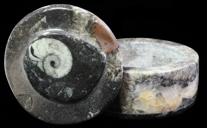 Small Fossil Goniatite Jar (Black) - Stoneware #66600